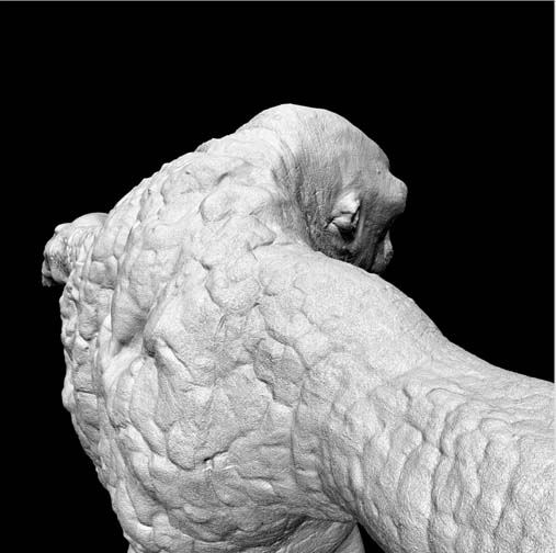cgi_troll3
