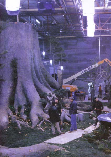 Tree Set in Lothlorien