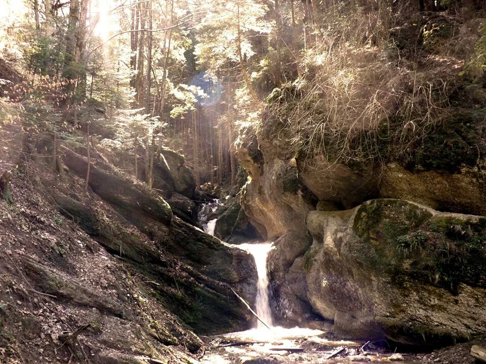 Lothlórien