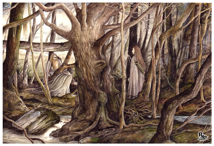 Searching Fangorn Forest