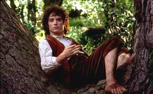 01.FoTR – 11. The Passing of the Elves