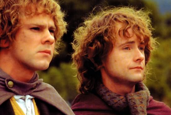 Merry & Pippin