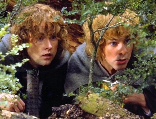 Merry & Pippin