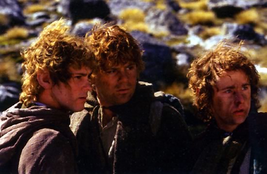 Merry, Sam & Pippin